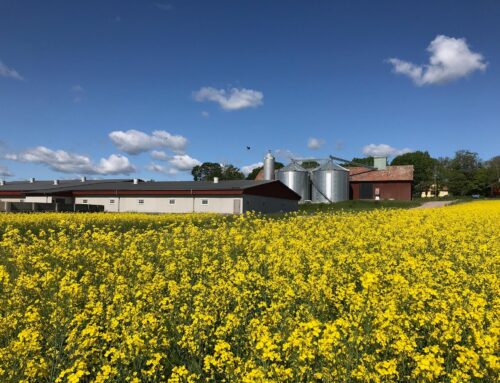 Inbjudan: Enskild vattenförsörjning på djurgårdar