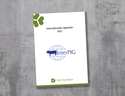 InterPIG – Internationella rapporten 2021